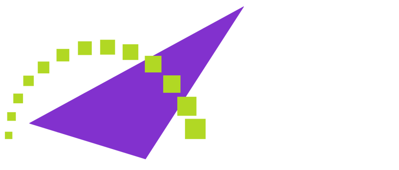 The Bridge Group